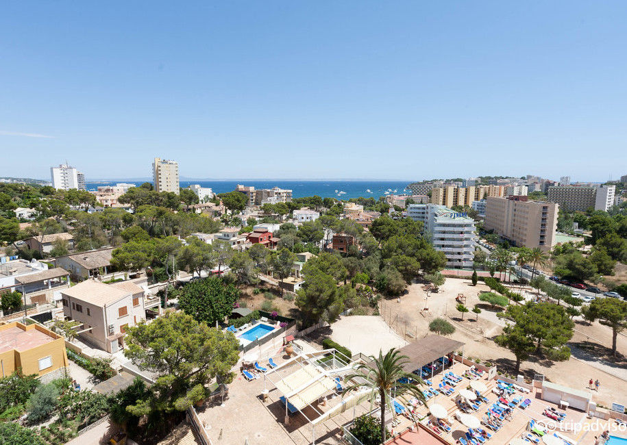 Globales Mimosa 4* Palma Nova (Mallorca)